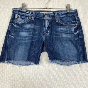 Big Star Womens Sweet Shorts Size 29 Cut Off Raw Hem Denim 5" Inseam Ultra Low